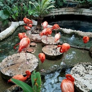 Meet your Posher, Tracy